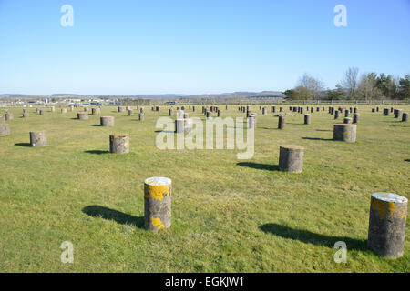 Woodhenge in der Nähe von Amesbury, Wiltshire Stockfoto