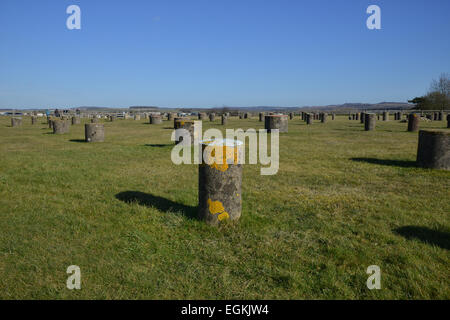 Woodhenge in der Nähe von Amesbury, Wiltshire Stockfoto