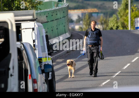 Belfast, Nordirland, Vereinigtes Königreich. 4. Oktober 2013 - kehrt eine Armee Munition Technical Officer aus eine Suche mit seinem Spürhund als 25 Stunde lang Bombenalarm und Follow-up-Suche kommt schließlich zu einem Ende am Finaghy Bahnhof. Stockfoto