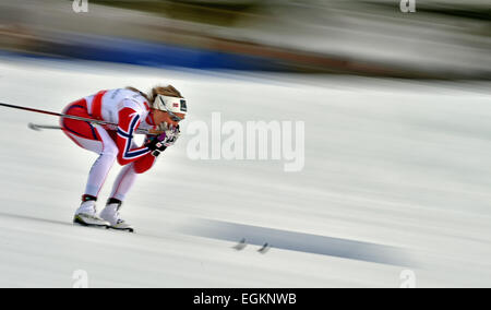 Falun, Schweden. 26. Februar 2015. Therese Johaug Norwegens in Aktion während der Langlauf Frauen 4 x 5 km Staffel Wettbewerb bei der nordischen Ski-Weltmeisterschaften in Falun, Schweden, 26. Februar 2015. Foto: Hendrik Schmidt/Dpa/Alamy Live News Stockfoto