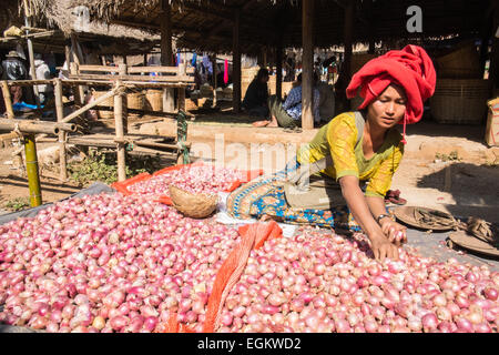 Zwiebeln für den Verkauf am lokalen Markt im Dorf Inthein am Ufer des Inle-See, Burma, Myanmar Stockfoto