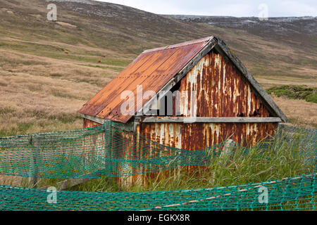 Südatlantik, Falkland, Karkasse Insel, McGill Siedlung, alte Wellblech Hühnerstall laufen Stockfoto