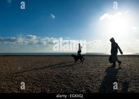 Zwei Menschen zu Fuß einen Hund auf einem Kiesstrand an einem sonnigen Wintertag mit Sonne flare Stockfoto