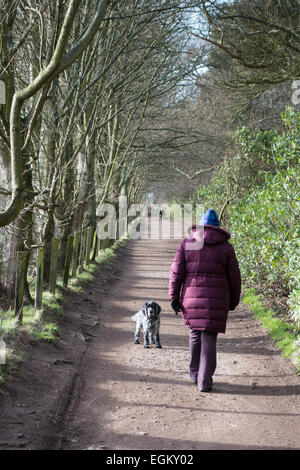 Frau zu Fuß in der Tyninghame, East Lothian Stockfoto