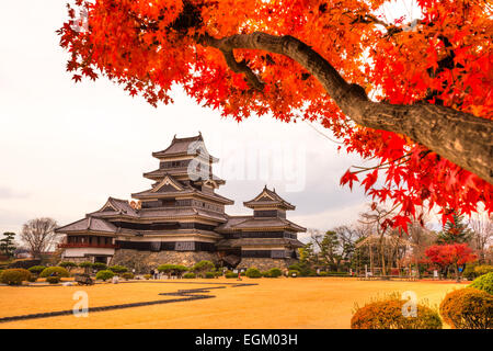 Die Burg Matsumoto im Herbst, Präfektur Nagano, Japan. Stockfoto