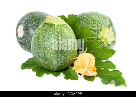 Zucchini Gemüse isoliert weißen Hintergrund Stockfoto