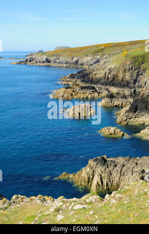 Die zerklüftete Küste in der Nähe von Porthclais (oder Porth Clais), Pembrokeshire, Wales, UK Stockfoto