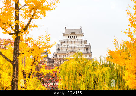 Burg Himeji, auch genannt White Heron Castle, im Herbst, Japan. Stockfoto