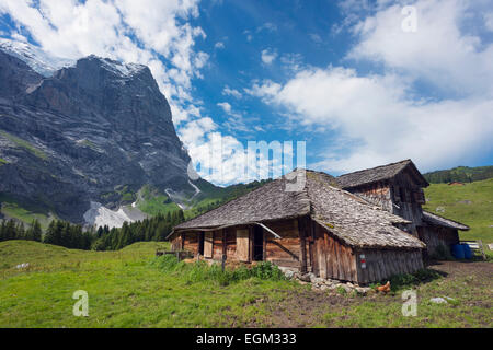 Europa, Schweiz, Schweizer Alpen Jungfrau-Aletsch-Unesco World Heritage Site, Wetterhorn 3692m Stockfoto