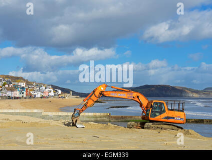 Nivellierung des Strands bei Lyme Regis mit einem JCB Bagger, Dorset, England UK Stockfoto