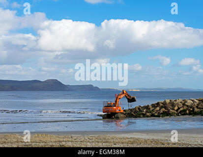 Nivellierung des Strands bei Lyme Regis mit einem JCB Bagger, Dorset, England UK Stockfoto