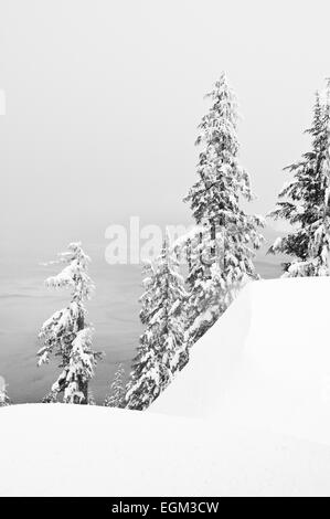 Schwarz-weiß Foto von Tannen im tiefen Schnee am Crater Lake, Oregon Stockfoto