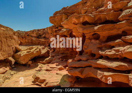 Fragment der erodierten Sandstein und Kalkstein Mauer, Colored Canyon, Sinai, Ägypten. Stockfoto