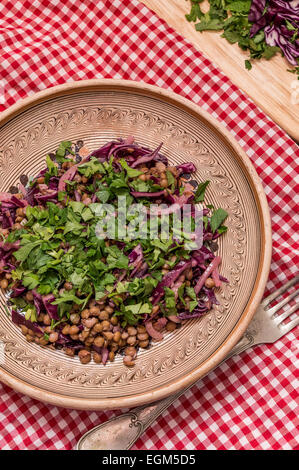 Vegane Linsensalat mit Rotkohl und Petersilie Stockfoto