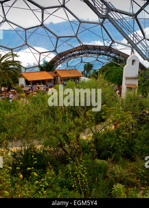 Innere des geodätischen Biom Kuppeln im Eden Project in der Nähe von St Austell Cornwall England UK entworfen von Nicholas Grimshaw 2001 Stockfoto