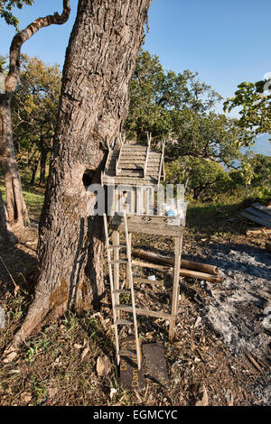 Geist-Haus im Wald, Mon Jam, Chiang Mai, Thailand Stockfoto