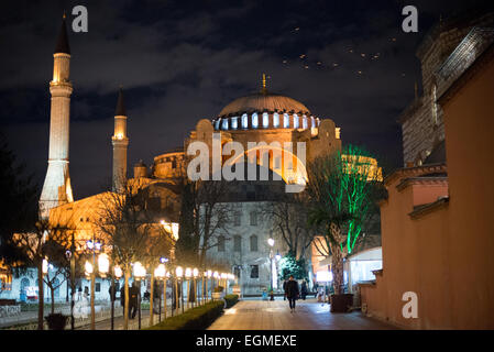 ISTANBUL, Türkei / Türkiye - Blick auf die Hagia Sophia vom Sultanahmet Park bei Nacht. Ursprünglich im Jahr 537 erbaut, diente sie als östlich-orthodoxe Kathedrale, römisch-katholische Kathedrale, Moschee und heute als Museum. Auch bekannt als Ayasofya oder Aya Sofia, ist es eines der wichtigsten Wahrzeichen Istanbuls. Stockfoto