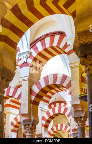 Spaniens große Moschee von Cordoba, Mezquita de Córdoba Interieur. Stockfoto