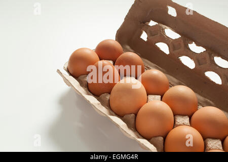 Frische Freilandeier in Recycling-Papier-Karton. Stockfoto