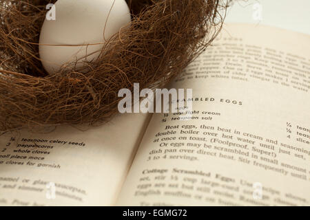 Ein Ei in eine zarte Vogelnest ruht auf einem Kochbuch ein Rezept für Rührei eröffnet. Stockfoto