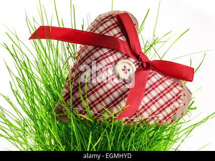 Valentine überprüft Herz mit Knopf und Band auf dem Rasen Stockfoto