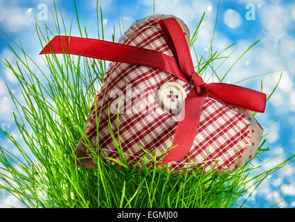 Valentine überprüft Herz mit Knopf und Band auf dem Rasen Stockfoto