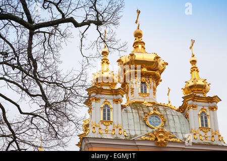 Blattlose Bäume und die Kirche der Heiligen Peter und Paul in Peterhof, St. Petersburg, Russland. Es war im Jahre 1747-1751 durch Rastrel bauen Stockfoto