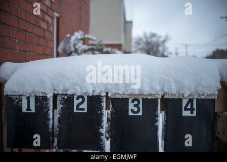 Norfolk, Virginia, USA. 26. Februar 2015. Schnee auf Postfächer in Willoughby aufgetürmt. Bildnachweis: Jay Westcott/ZUMAPRESS.com/Alamy Live-Nachrichten Stockfoto