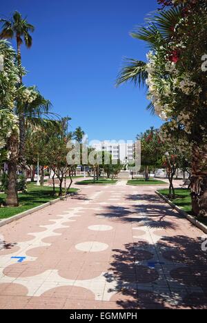 Blick entlang der von Bäumen gesäumten Promenade, Garrucha, Provinz Almeria, Costa Almeria, Andalusien, Spanien, Westeuropa. Stockfoto