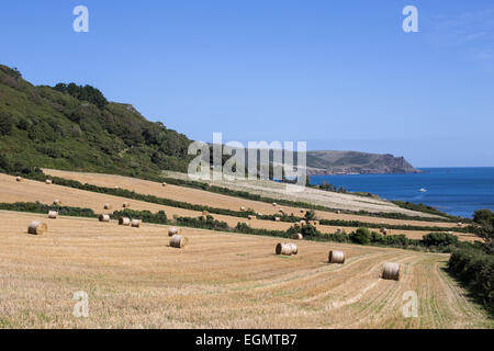 Landschaft im Osten Prawle, Devon Stockfoto