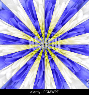 Blütenmitte symmetrischen Collage aus der Sammlung von Chrysanthemen. Stücke sind in symmetrischen Stücke Seamlesly geteilt. Stockfoto