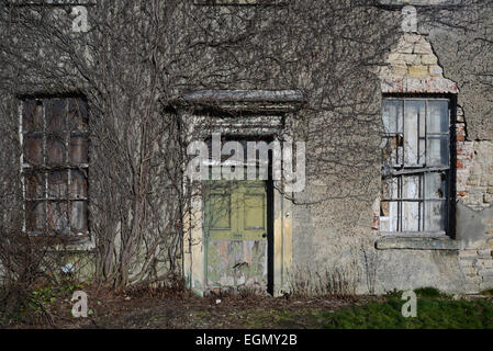 Vegetation und Efeu wächst über leeren Saal in der Nähe von Leeds Yorkshire uk Stockfoto