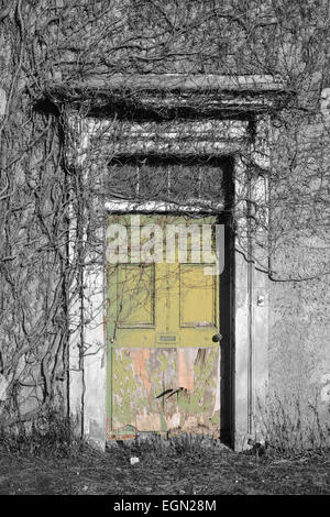 Vegetation und Efeu wächst über Tür in leeren Haus in der Nähe von Leeds Yorkshire uk Stockfoto