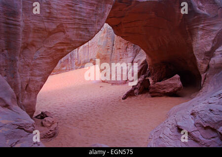 Sand Dune Arch im Arches-Nationalpark im US-Bundesstaat Utah. Stockfoto