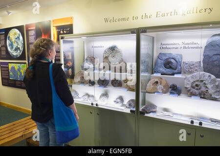 Orkney-Fossil und Heritage Centre auf der Insel Burray, Orkney Inseln, Schottland. Stockfoto