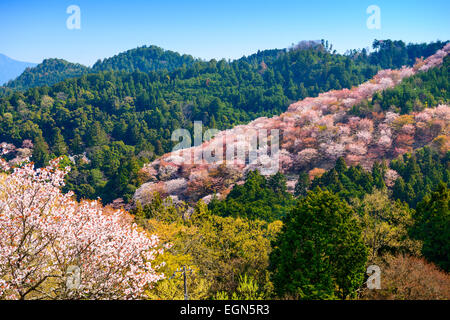 Yoshinoyama, Nara, Japan Landschaft im Frühjahr. Stockfoto