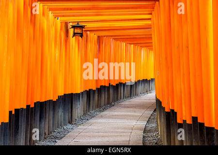 Fushimi Inari Torii-Tore in Kyoto, Japan. Stockfoto