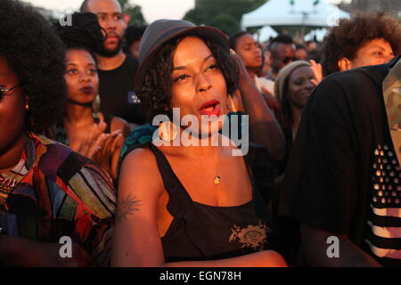 AfroPunk Festival 2014 Aug 24. im Commodore Barry Park Brooklyn Navy Yard Tag zwei 08 24 14 mit: AfroPunk Atmostphere wo: Brooklyn, New York, Vereinigte Staaten, wann: 25. August 2014 Stockfoto