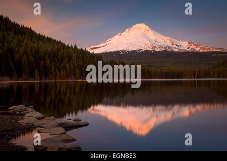 Festlegen von Sonnenlicht auf Mount Hood von Cascade Mountains, Trillium Lake, Oregon, USA Stockfoto