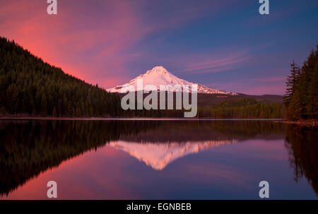 Festlegen von Sonnenlicht auf Mount Hood von Cascade Mountains, Trillium Lake, Oregon, USA Stockfoto