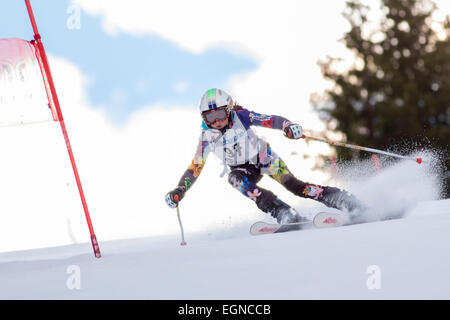 Passo Campolongo - Arabba, Italien 11. Januar 2015. Emma Dalla Pozza (Ita) im Wettbewerb in der Grand Prix-Lattebusche Stockfoto