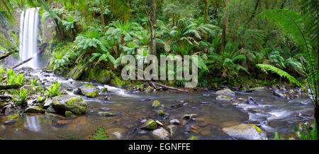 Hopetoun Falls am Fluss Aire im Great Otway National Park, Victoria, Australien. Stockfoto