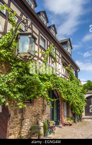 Torbogen auf einem Weingut in Eltville, Rhein, Deutschland Stockfoto