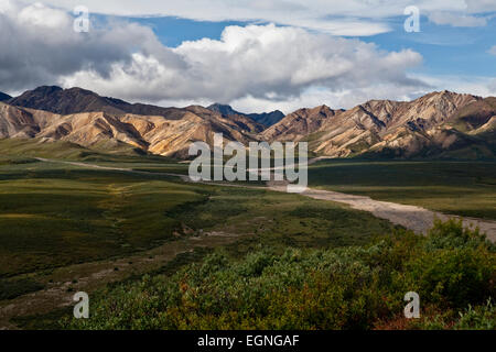 Blick vom Polychrome Pass in Denali Nationalpark, Alaska Stockfoto