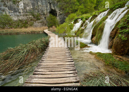 Wasserfälle entlang eines Gehwegs im Nationalpark Plitvicer Seen, Kroatien Stockfoto