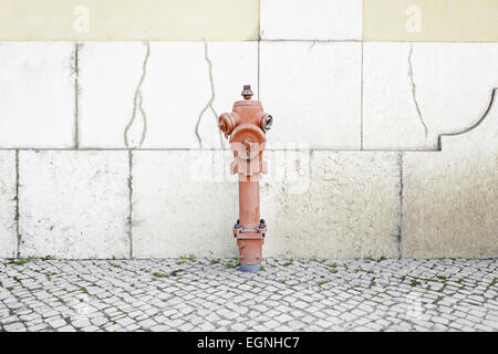 Hydranten in einer Stadt, Detail eines Elements, löschte Brände, wirklichen Schutz und Sicherheit Stockfoto