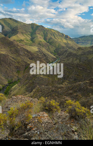 Die Imnaha Schlucht des östlichen Oregon. USA Stockfoto