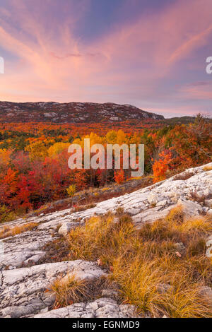 Spektakuläre Herbstfarben mit Rasen bedeckt weißer Quarzit im Vordergrund. Killarney Provincial Park, Ontario, Kanada. Stockfoto