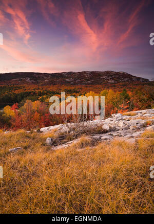 Spektakuläre Herbstfarben mit Rasen bedeckt weißer Quarzit im Vordergrund. Killarney Provincial Park, Ontario, Kanada. Stockfoto