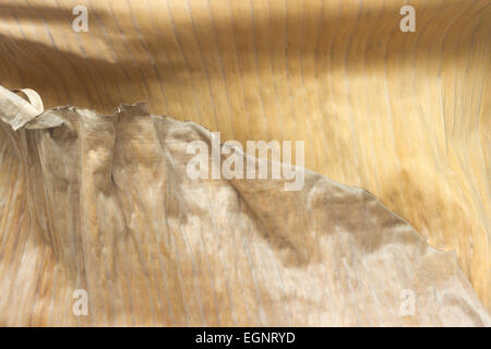 Banana Leaf Struktur Closeup Hintergrund zu trocknen Stockfoto